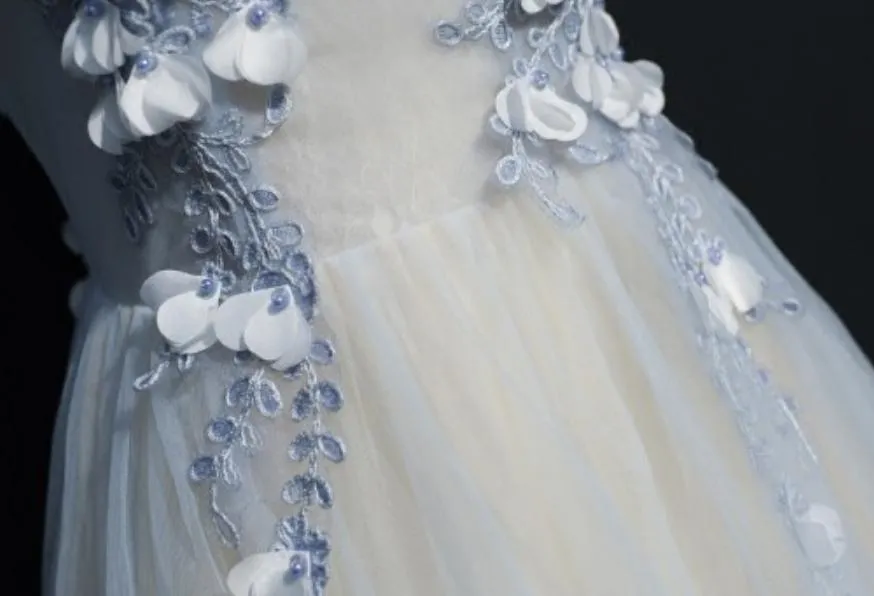 A Line Cap Sleeves Tulle Prom Dress, Floor Length Appliqued Evening Dress with Flowers M1489