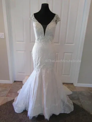 Ashley & Justin 10473