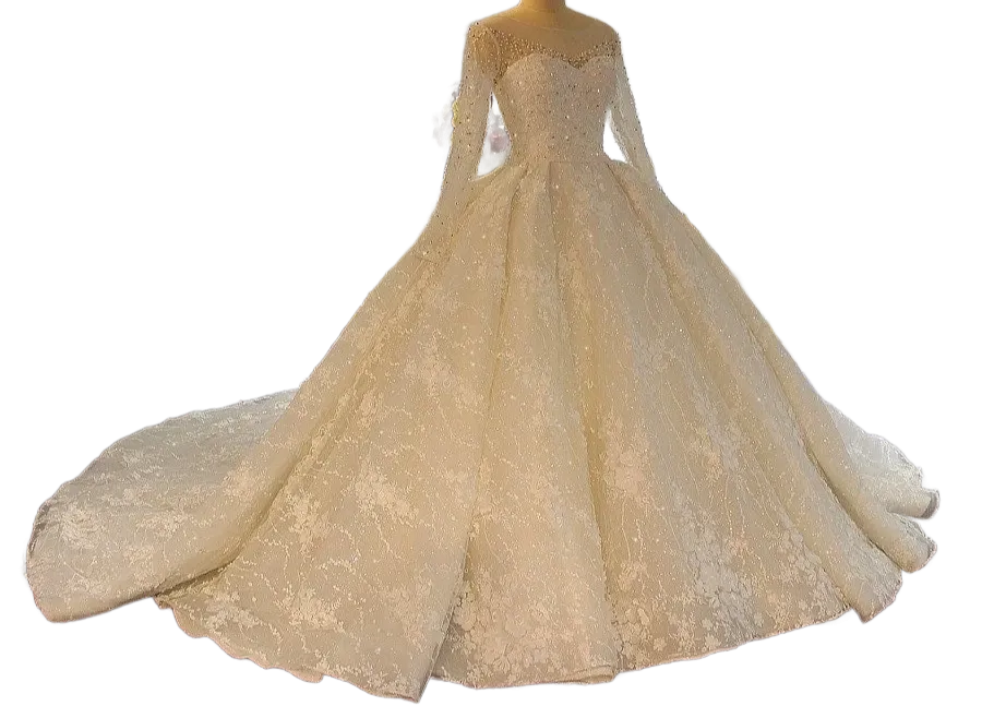 Elegant Lace Ballgown Wedding Dress with Cathedral Train Long Sleeve