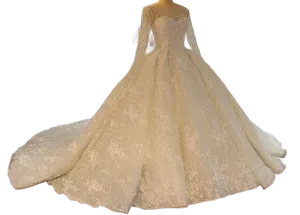 Elegant Lace Ballgown Wedding Dress with Cathedral Train Long Sleeve