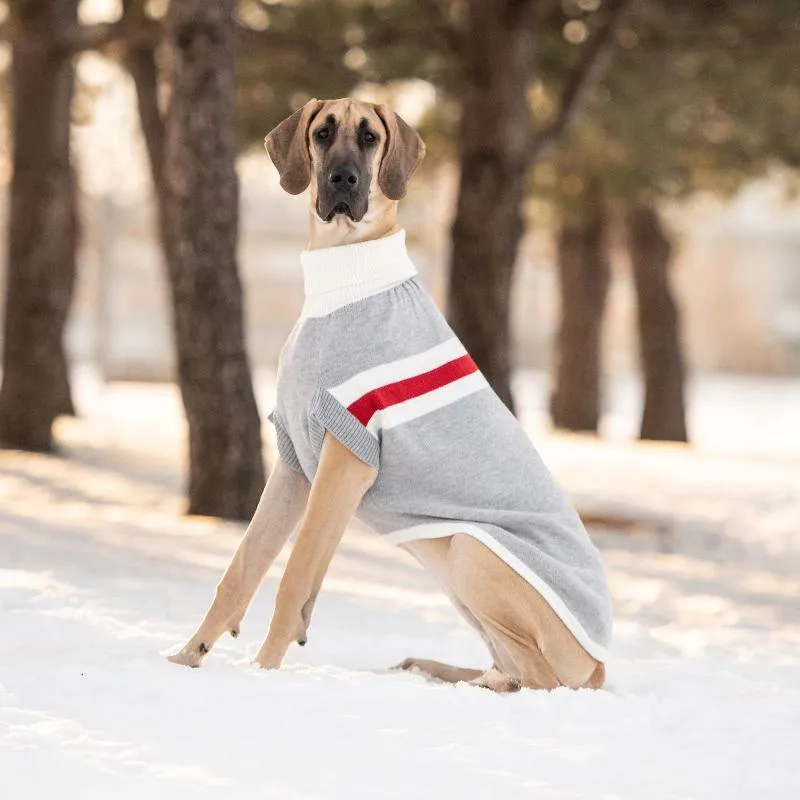 Grey Trekking Dog Sweater