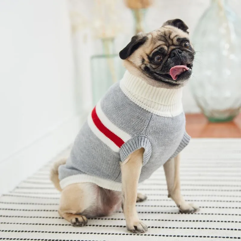 Grey Trekking Dog Sweater