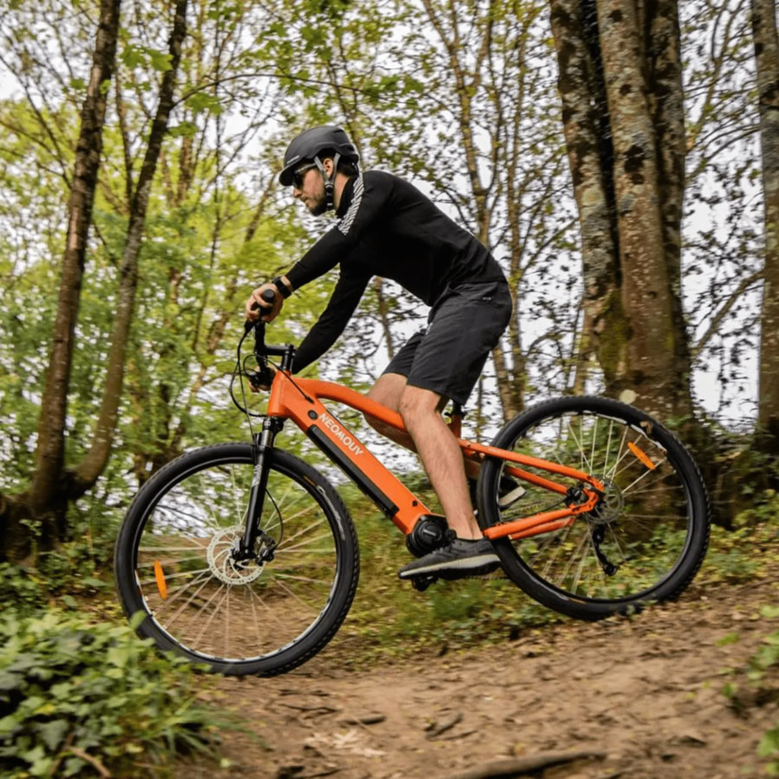 Neomouv Enara 2 Electric Mountain Bike 250W