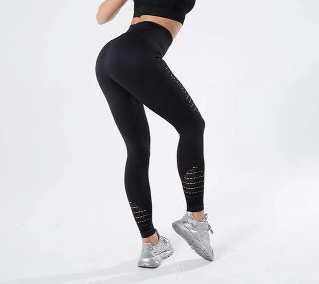Olympia High Waist Seamless Gym Leggings