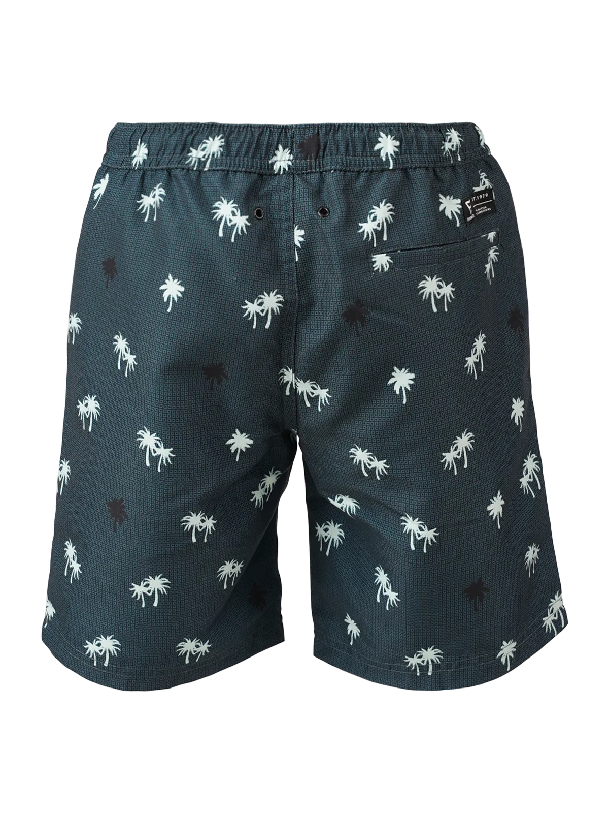 Roshany Boys Swim Shorts | Green