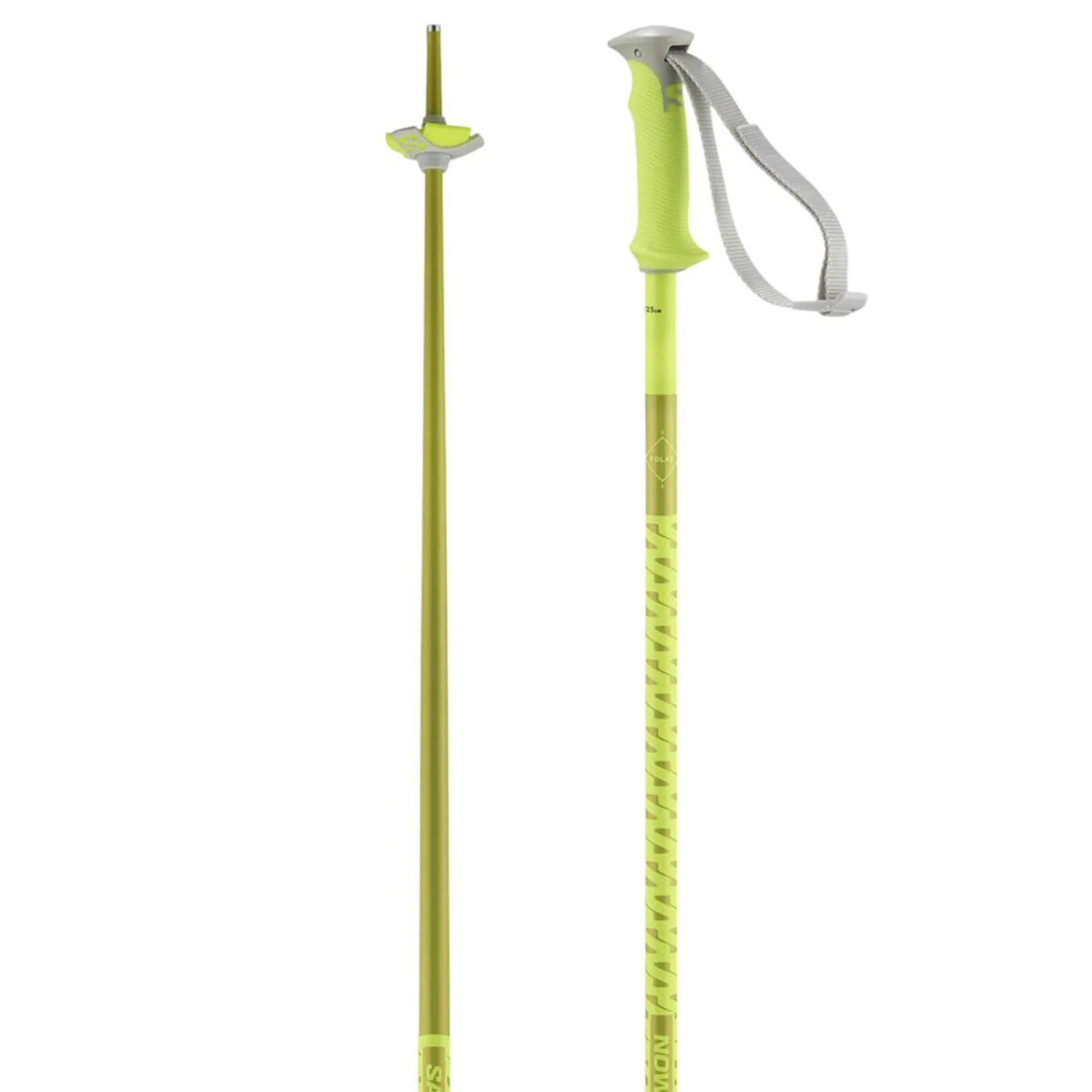 Salomon Polar Downhill Ski Poles 2025