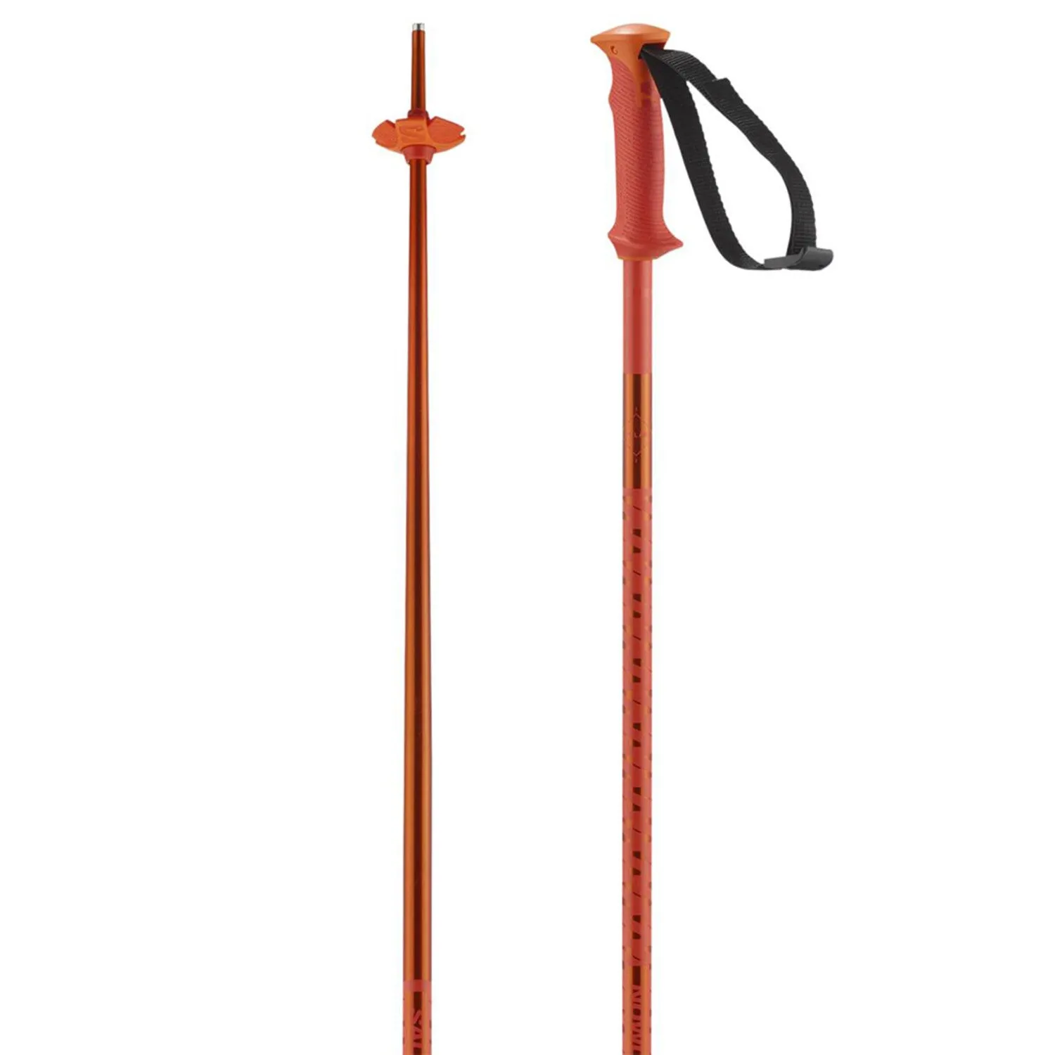 Salomon Polar Downhill Ski Poles 2025