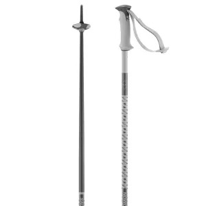 Salomon Polar Downhill Ski Poles 2025