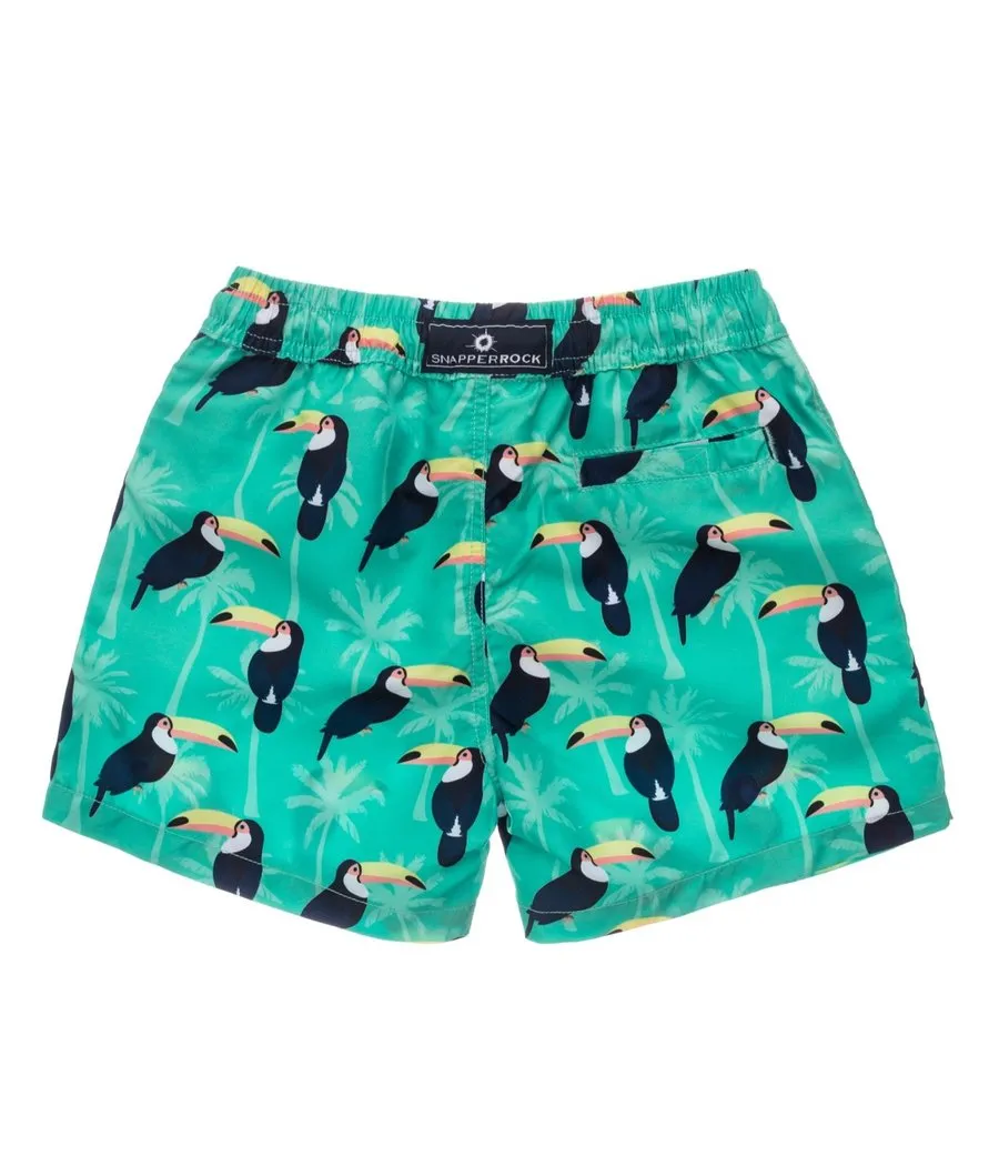 Toucan Talk