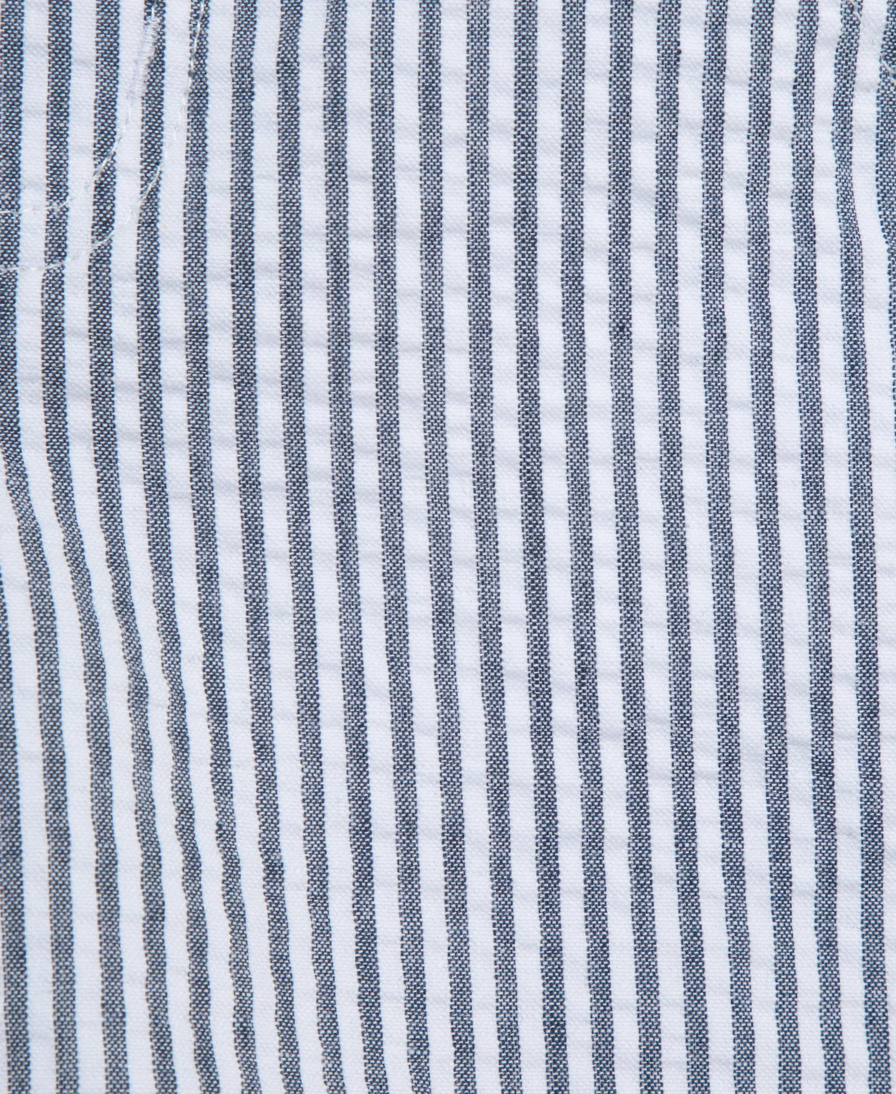 Whale Polo Short Set (2T-4T)